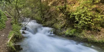 Sedos ežero ir Varduvos upės slėnio pritaikymas lankymui