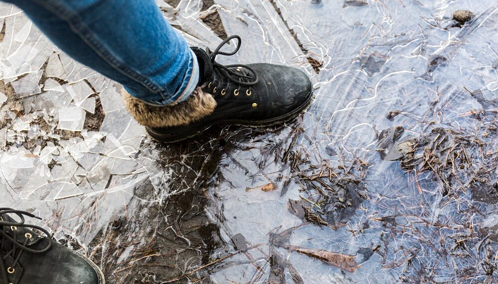 Plikledis/Asociatyvi nuotr./Freepik