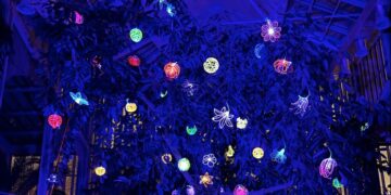 Kretingos muziejaus Žiemos sode šviečia „Gyvybės medis“