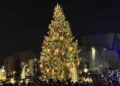 Mažeikių Kalėdų eglė – gražiausia Lietuvoje