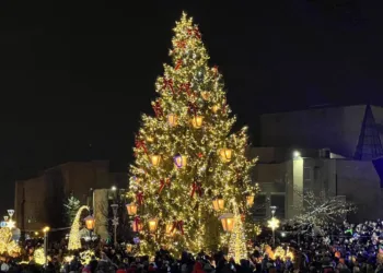 Mažeikių Kalėdų eglė – gražiausia Lietuvoje