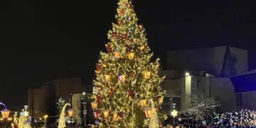 Mažeikių Kalėdų eglė – gražiausia Lietuvoje
