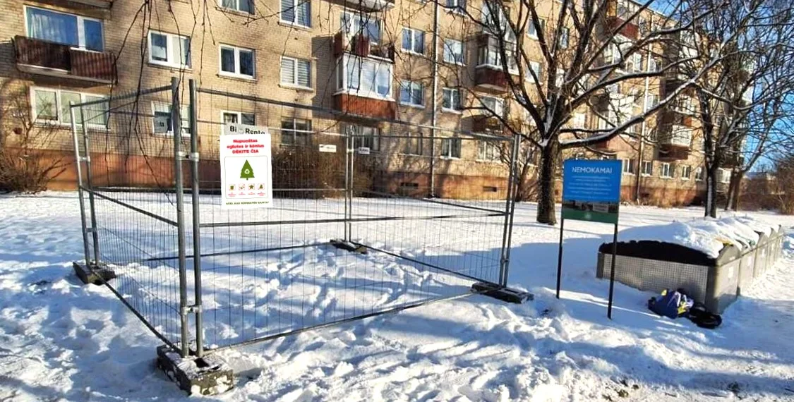 NUpuoštų eglučių surinkimo vietos. Klaipėdos m.sav.nuotr.