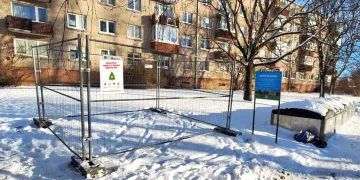 Nupuoštų eglučių surinkimui Klaipėdoje – 44 vietos