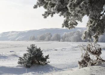 Neringa kviečia žiemos kraštovaizdį atrasti slidinėjant: parengtos trys trasos