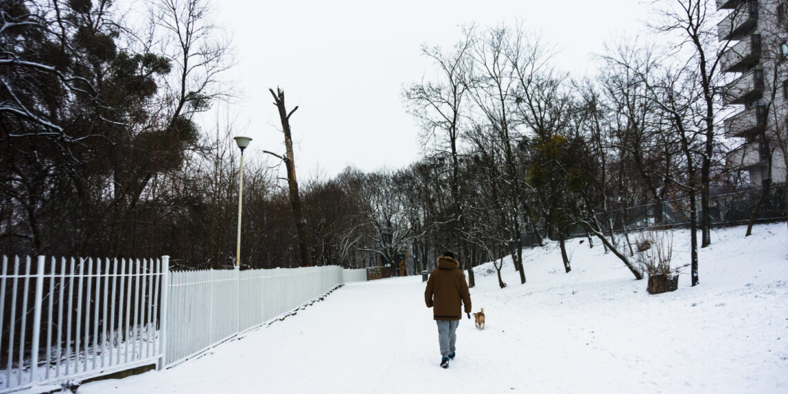 Sniegas mieste/Asociatyvi nuotr./Freepik