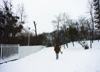 Už netinkamai prižiūrėtas Klaipėdos gatves rangovams skiriamos baudos