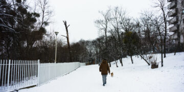 Už netinkamai prižiūrėtas Klaipėdos gatves rangovams skiriamos baudos