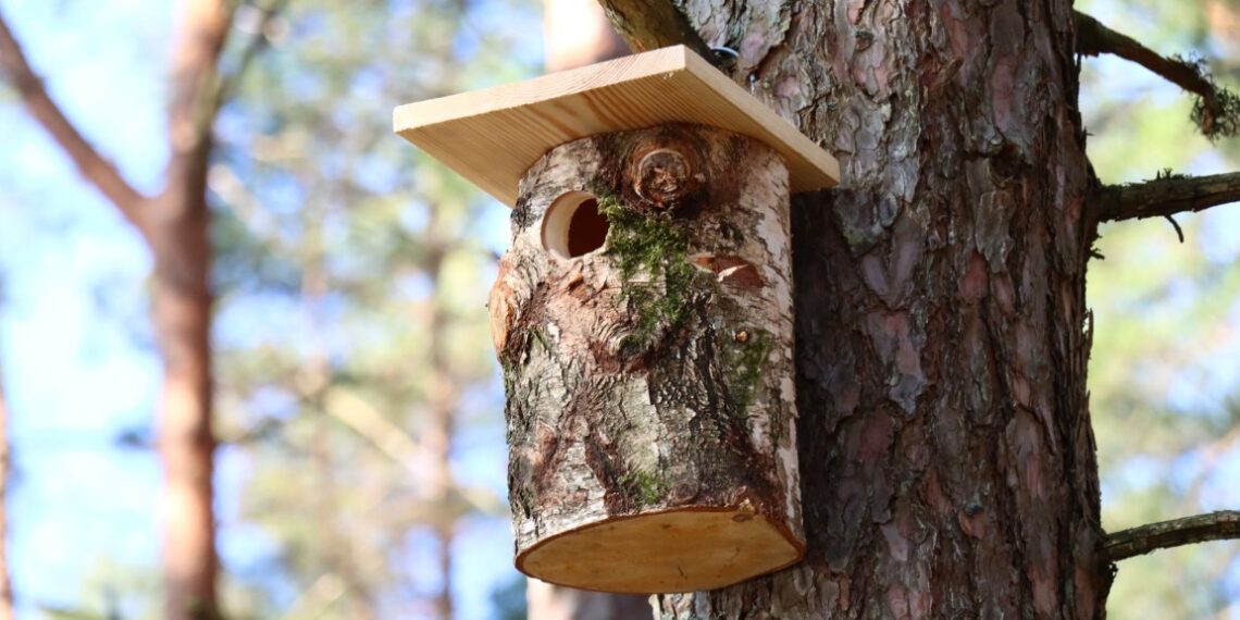 Inkilai / VMU nuotr.