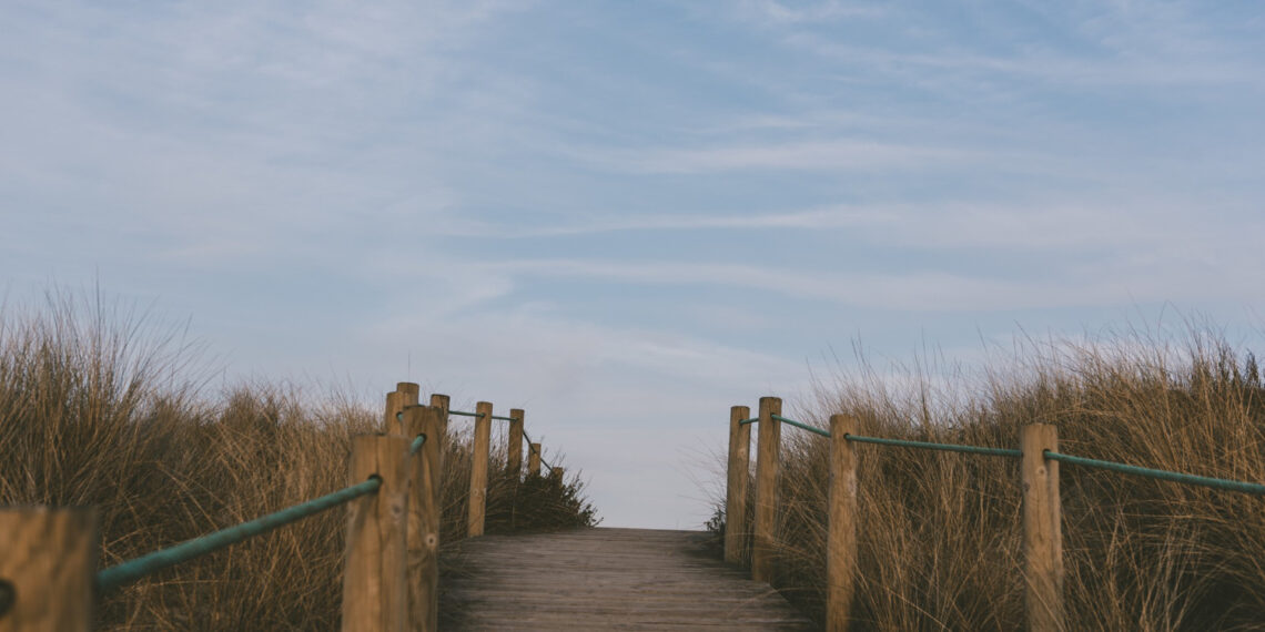 Medinis takas per kopas/Asociatyvi nuotr./Freepik