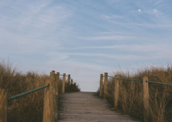 Palangos paplūdimiuose prasidėjo pasirengimo vasarai darbai