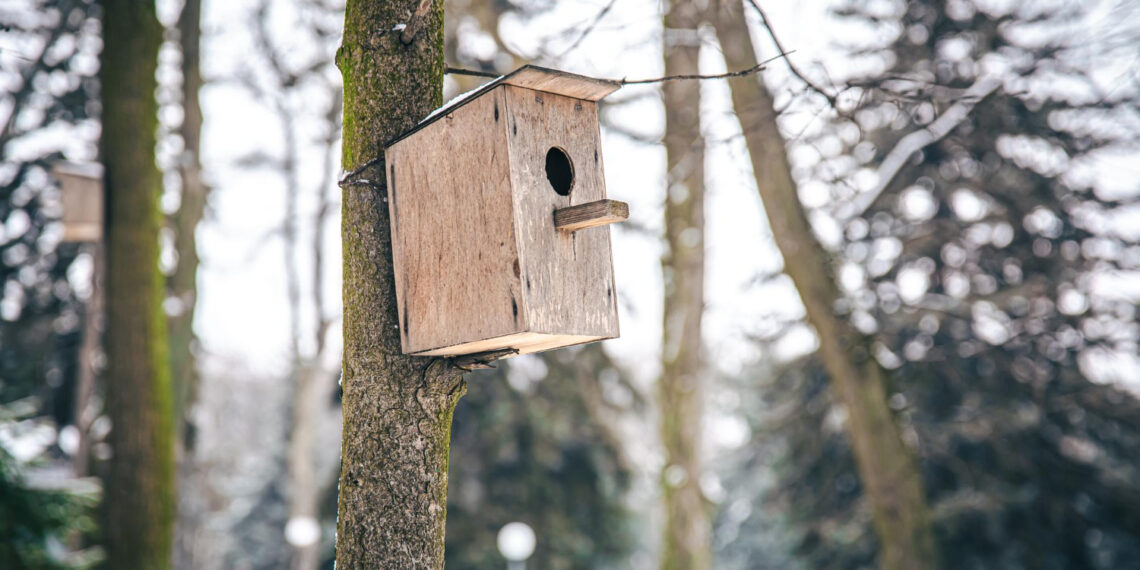 Inkilas/Asociatyvi nuotr./Freepik