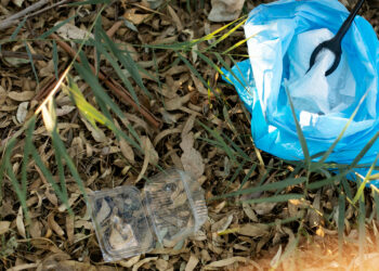 Atėjus pavasariui, svarbu pasirūpinti susidarančiomis žaliosiomis atliekomis