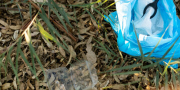 Atėjus pavasariui, svarbu pasirūpinti susidarančiomis žaliosiomis atliekomis