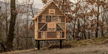 „Keliaujančios architektūros dirbtuvės“ pagyvins  miestelio ar kaimo gyvenimą