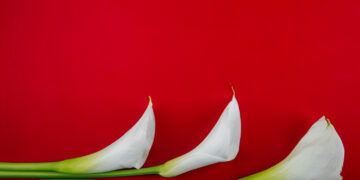 Kovo 15-ąją Lietuvoje minime Lietuvos žydų gelbėtojų dieną