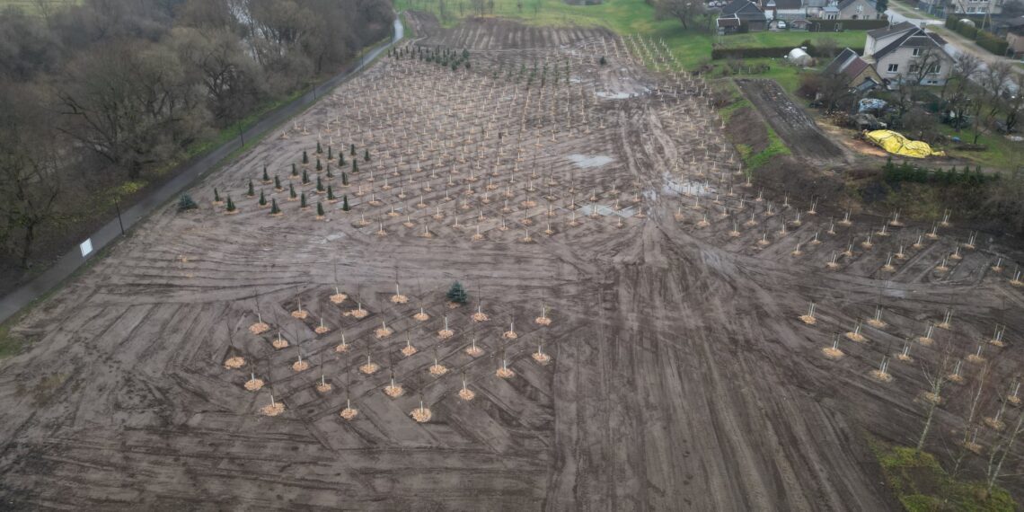 Jovarų parko projektas/Tauragės raj.sav.nuotr.