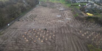 Tauragėje įgyvendinamas Jovarų parko projektas