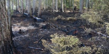 Ugniagesiai gelbėtojai prašo gyventojų nedeginti pernykštės žolės