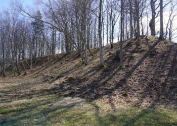 Plungės piliakalnis bus pritaikytas lankymui