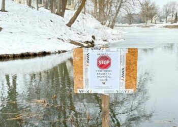 Kretingos parko pirmojo tvenkinio teritorijoje – paukščių gripo virusas