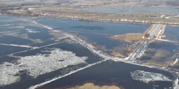 Upių būklė ir vandens lygis Pamaryje