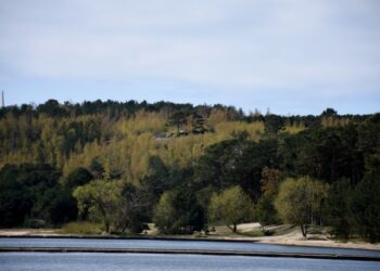 Balandis – aplinkos tvarkymo ir švaros mėnuo