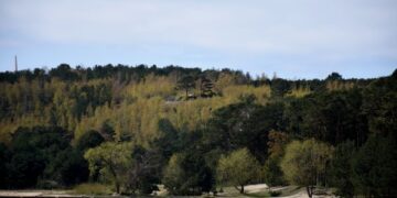 Balandis – aplinkos tvarkymo ir švaros mėnuo