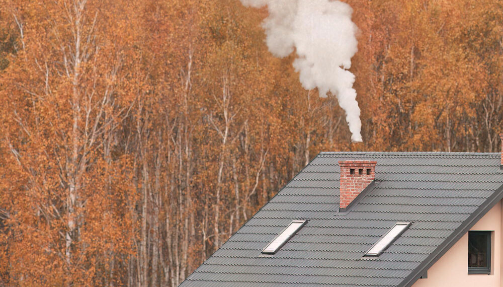 Kuras / Freepik nuotr.