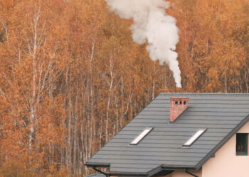 Didžiuosiuose Lietuvos miestuose ir kurortuose bus draudžiama šildytis iškastiniu kuru