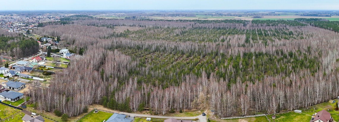 Didžlaukio aukštapelkė/Mažeikių raj.sav.nuotr.