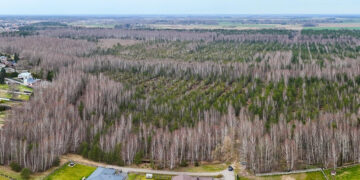 Didžlaukio aukštapelkės teritorija Mažeikių savivaldybėje bus pritaikyta lankymui