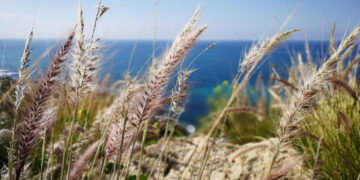 Kelmės rajono savivaldybė skiria paramą smulkių ir vidutinių ūkių plėtrai