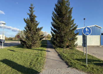 Tauragėje numatyta įrengti pėsčiųjų ir dviračių taką