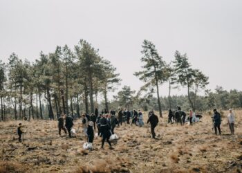 Neringos savivaldybė kviečia bendruomenę ir kurorto svečius į tradicinį miškasodį