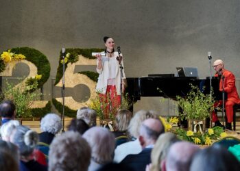 Šiaulių socialinių paslaugų centrui 25-eri