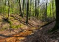 Rietavo jaunimui programa skirta patirti gamtą per sąmoningą buvimą aplinkoje