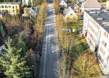 Telšiuose pradedant gatvių remonto darbus, dalį medžių teks pašalinti