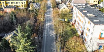 Telšiuose pradedant gatvių remonto darbus, dalį medžių teks pašalinti