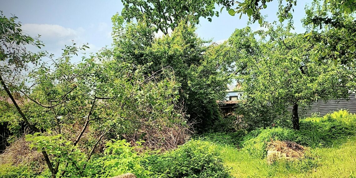 Apleistas žemės sklypas/Šiaulių m.sav.nuotr.