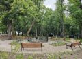 Gargžduose atidarytas naujai įrengtas Baronų Renių skveras