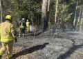 Miško lankytojams, poilsiautojams ir stovyklautojams priminimas laikytis saugaus elgesio taisyklių