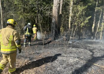 Miško lankytojams, poilsiautojams ir stovyklautojams priminimas laikytis saugaus elgesio taisyklių