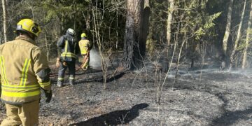 Miško lankytojams, poilsiautojams ir stovyklautojams priminimas laikytis saugaus elgesio taisyklių