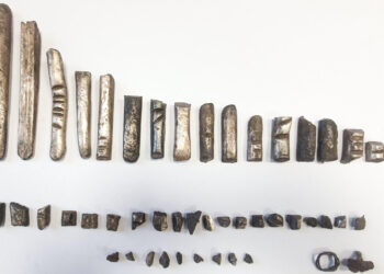 Viduramžių paslaptis Klaipėdoje – Daugulių laukuose aptiktas XIV amžiaus pirklio lobis