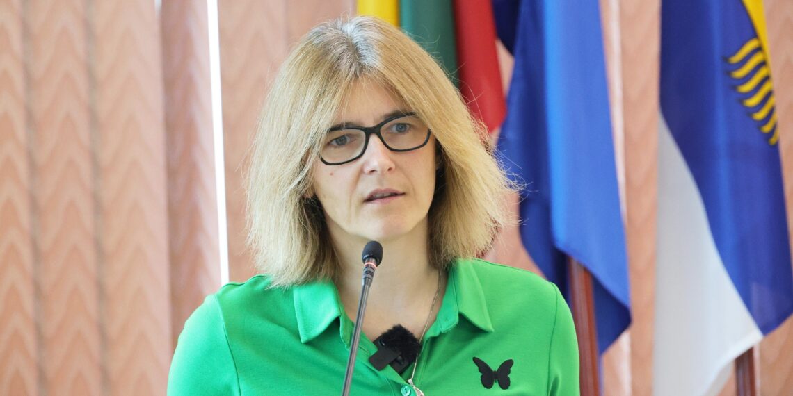 Šiaulių m.sav. Miesto ūkio ir aplinkos skyriaus vedėja Eglė Bružienė spaudos konferencijoje/V. Lebedžio nuotr.