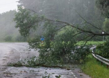 Jurbarko savivaldybėje fiksuoti 32 elektros tiekimo sutrikimai