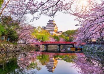 Šiauliuose bus pristatytas vienas ryškiausių Japonijos kultūros simbolių