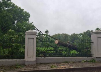 Plungės rajono seniūnijose vis dar šalinami audros padariniai