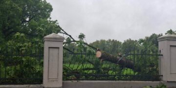 Plungės rajono seniūnijose vis dar šalinami audros padariniai